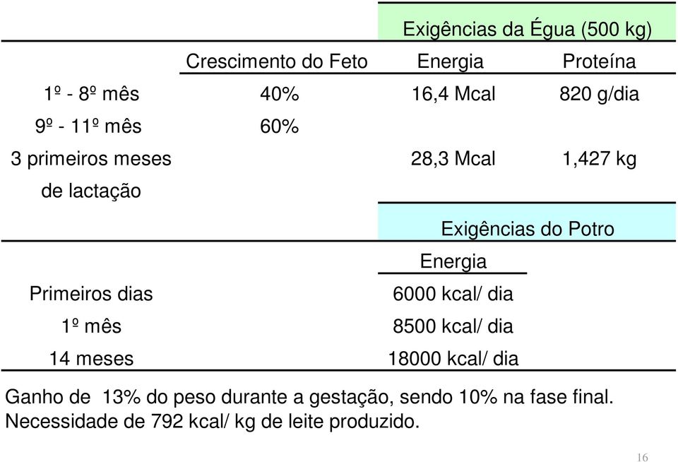 Energia Primeiros dias 6000 kcal/ dia 1º mês 8500 kcal/ dia 14 meses 18000 kcal/ dia Ganho de