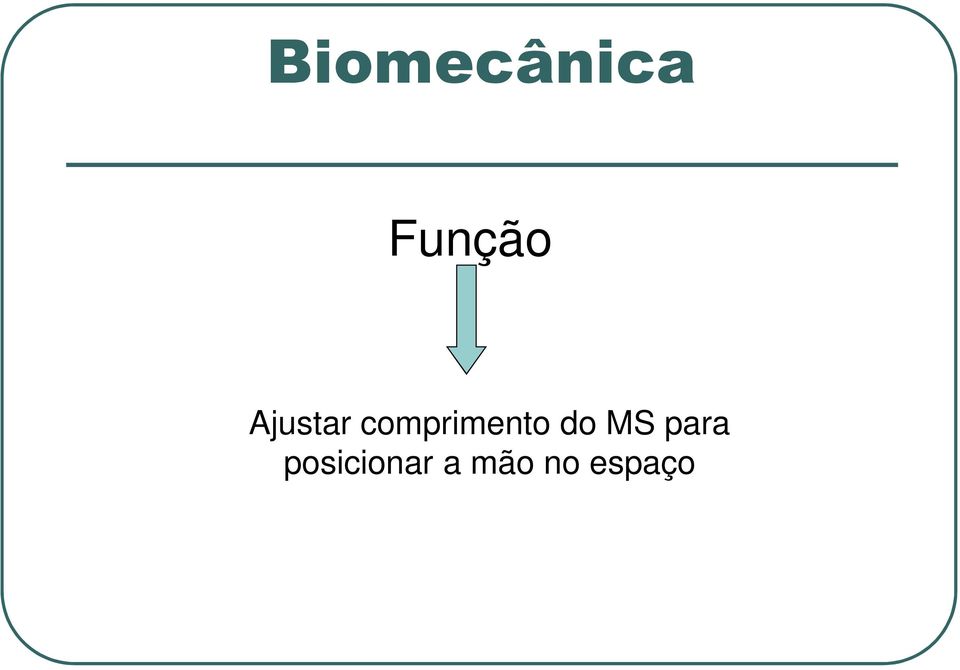 comprimento do MS