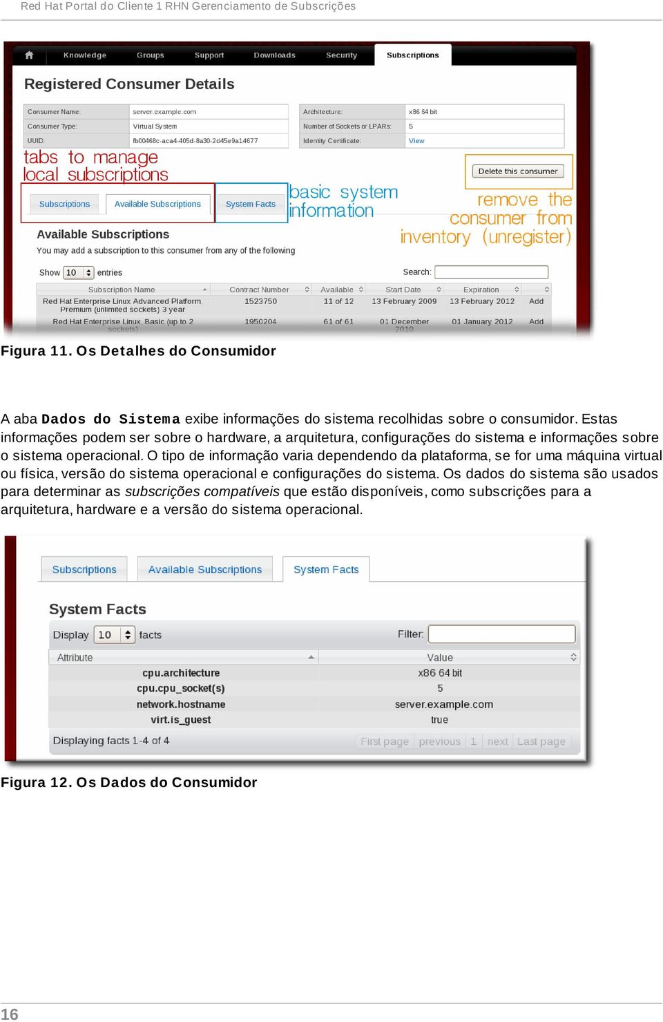 Estas informações podem ser sobre o hardware, a arquitetura, configurações do sistema e informações sobre o sistema operacional.