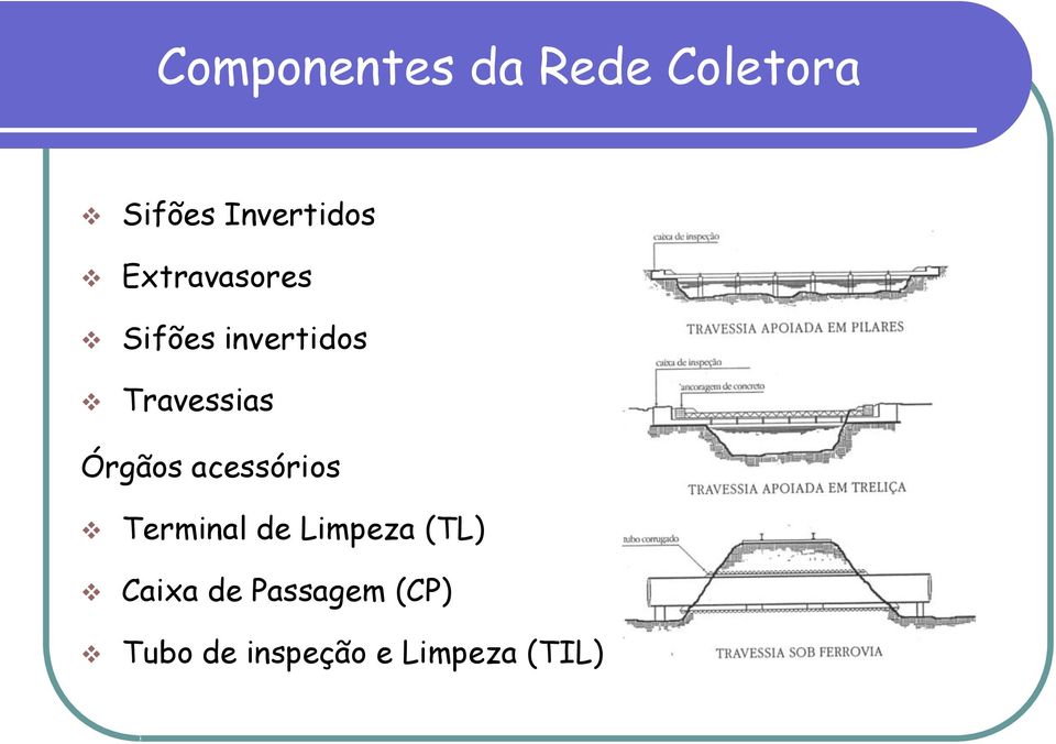 Órgãos acessórios Terminal de Limpeza (TL)