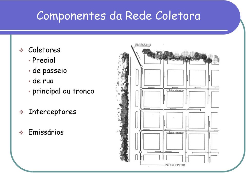 de passeio de rua principal