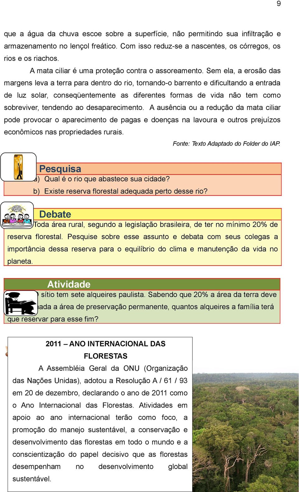 Sem ela, a erosão das margens leva a terra para dentro do rio, tornando-o barrento e dificultando a entrada de luz solar, conseqüentemente as diferentes formas de vida não tem como sobreviver,