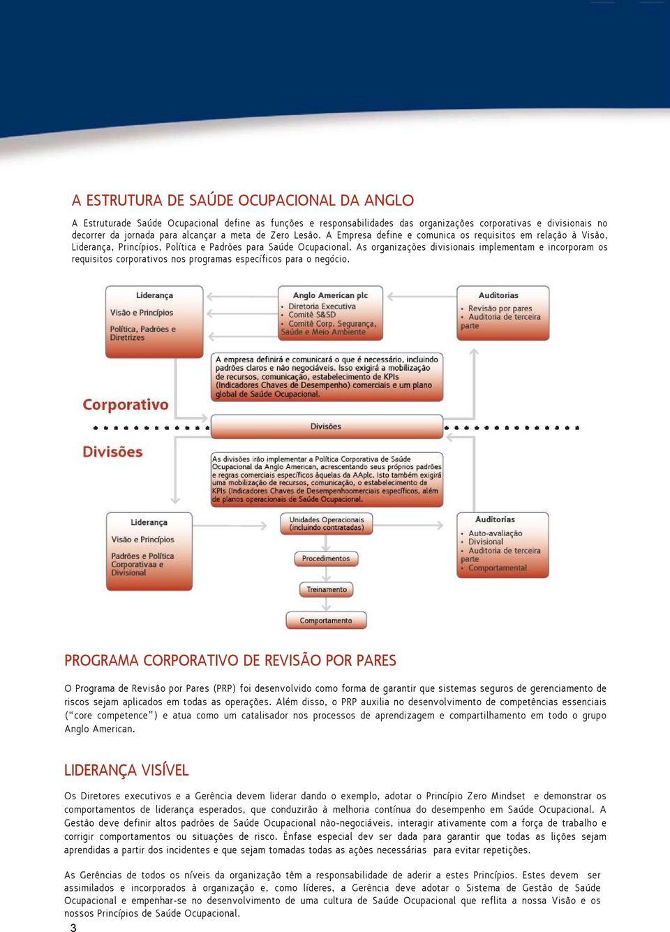 As organizações divisionais implementam e incorporam os requisitos corporativos nos programas específicos para o negócio.