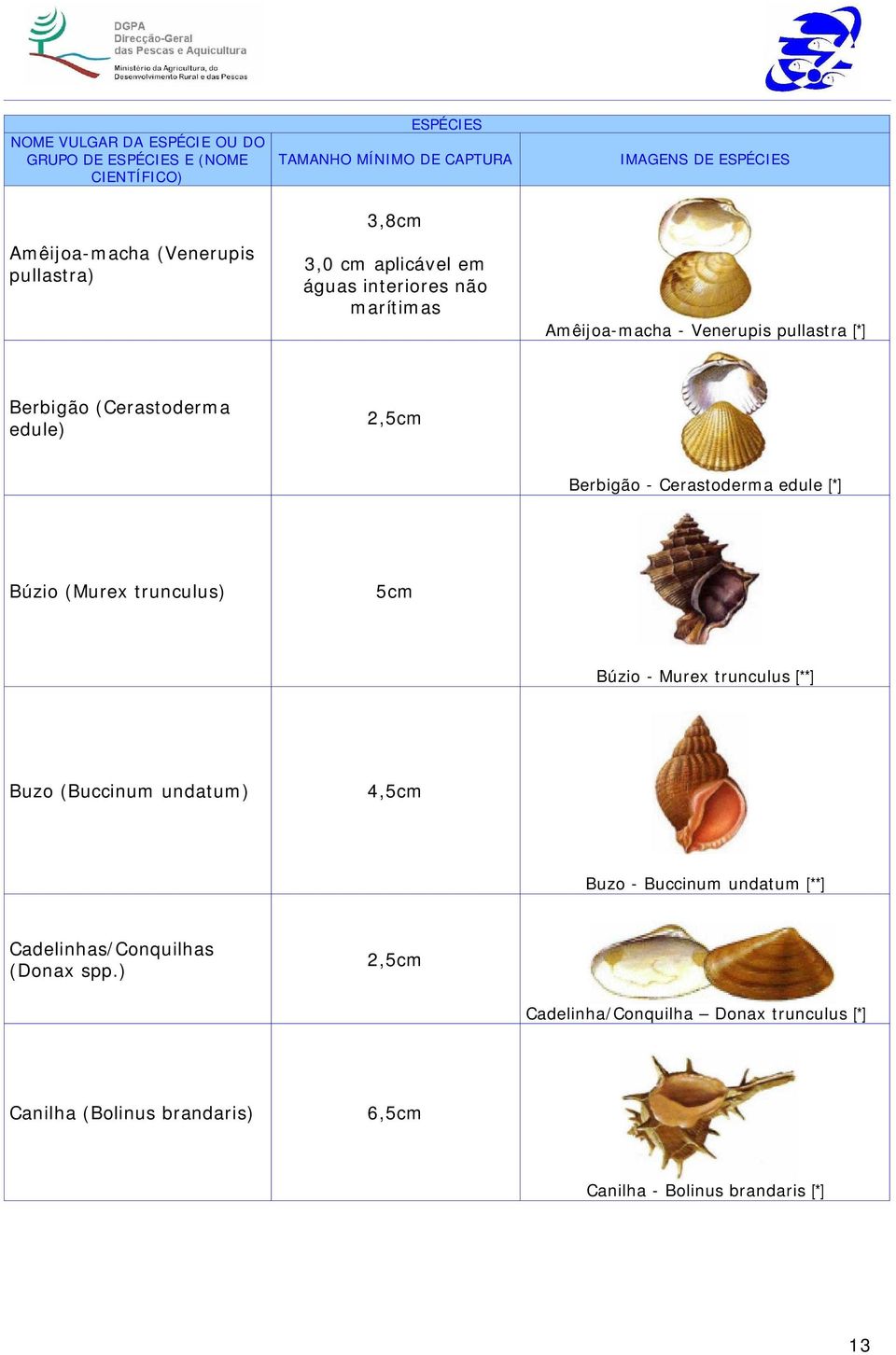 edule [*] Búzio (Murex trunculus) 5cm Búzio - Murex trunculus [**] Buzo (Buccinum undatum) 4,5cm Buzo - Buccinum undatum [**]