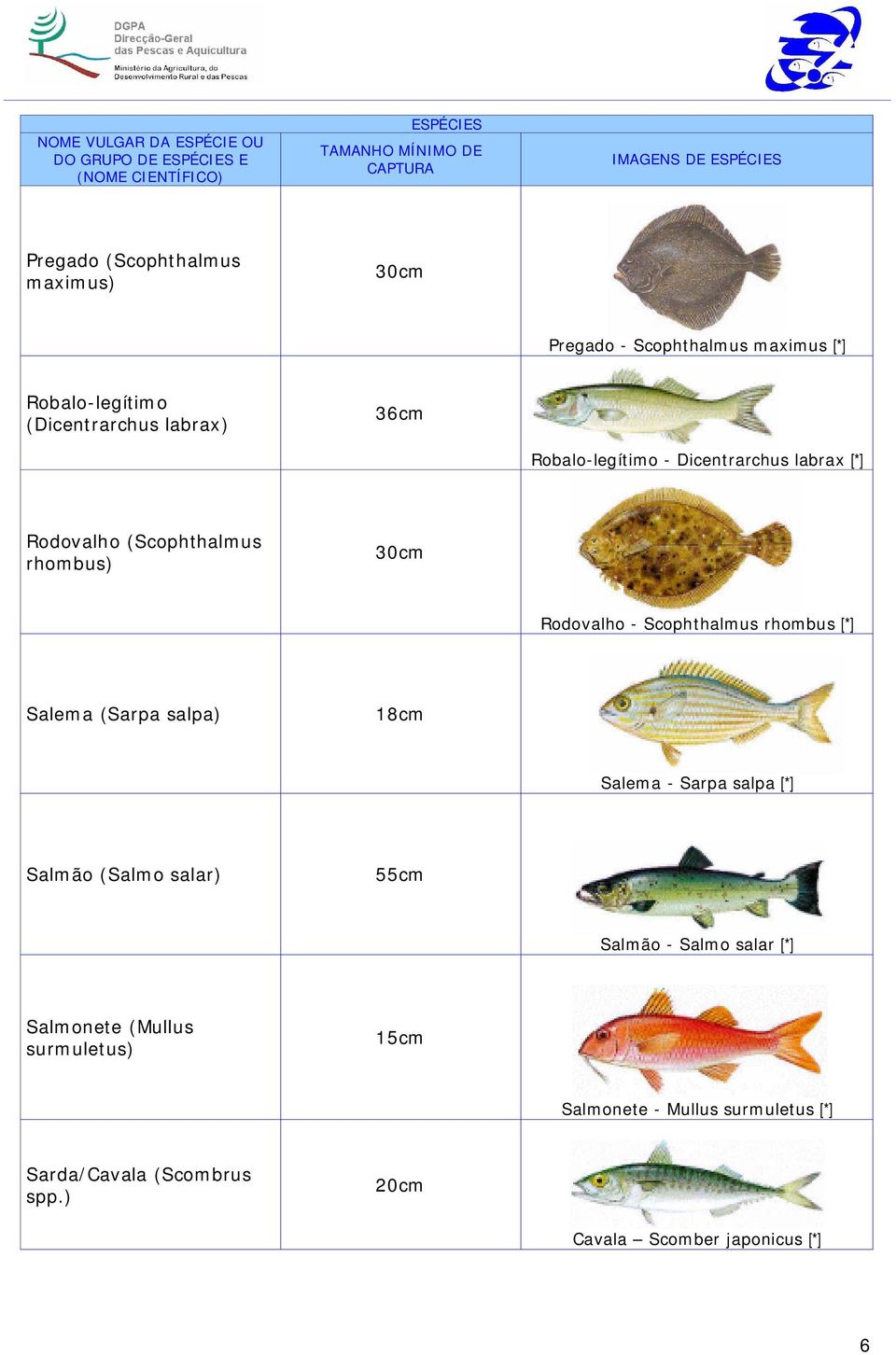 Rodovalho - Scophthalmus rhombus [*] Salema (Sarpa salpa) 18cm Salema - Sarpa salpa [*] Salmão (Salmo salar) 55cm Salmão - Salmo