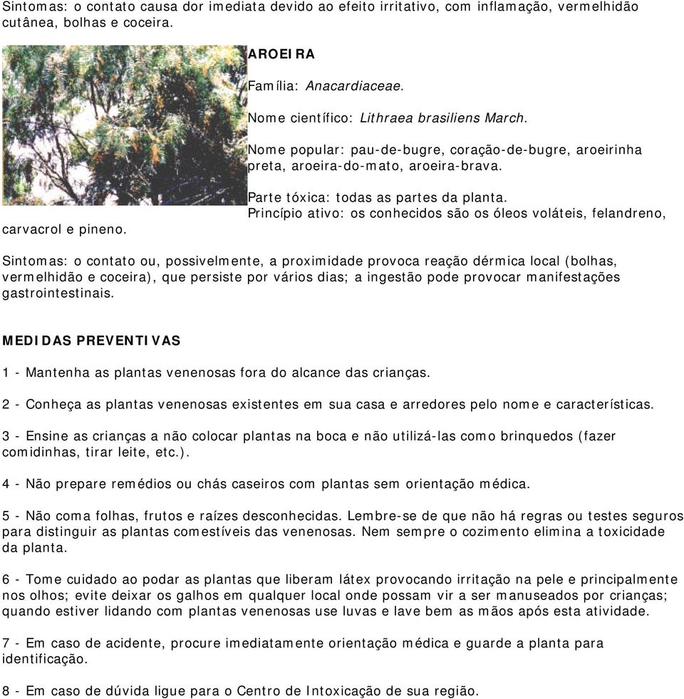 Princípio ativo: os conhecidos são os óleos voláteis, felandreno, Sintomas: o contato ou, possivelmente, a proximidade provoca reação dérmica local (bolhas, vermelhidão e coceira), que persiste por