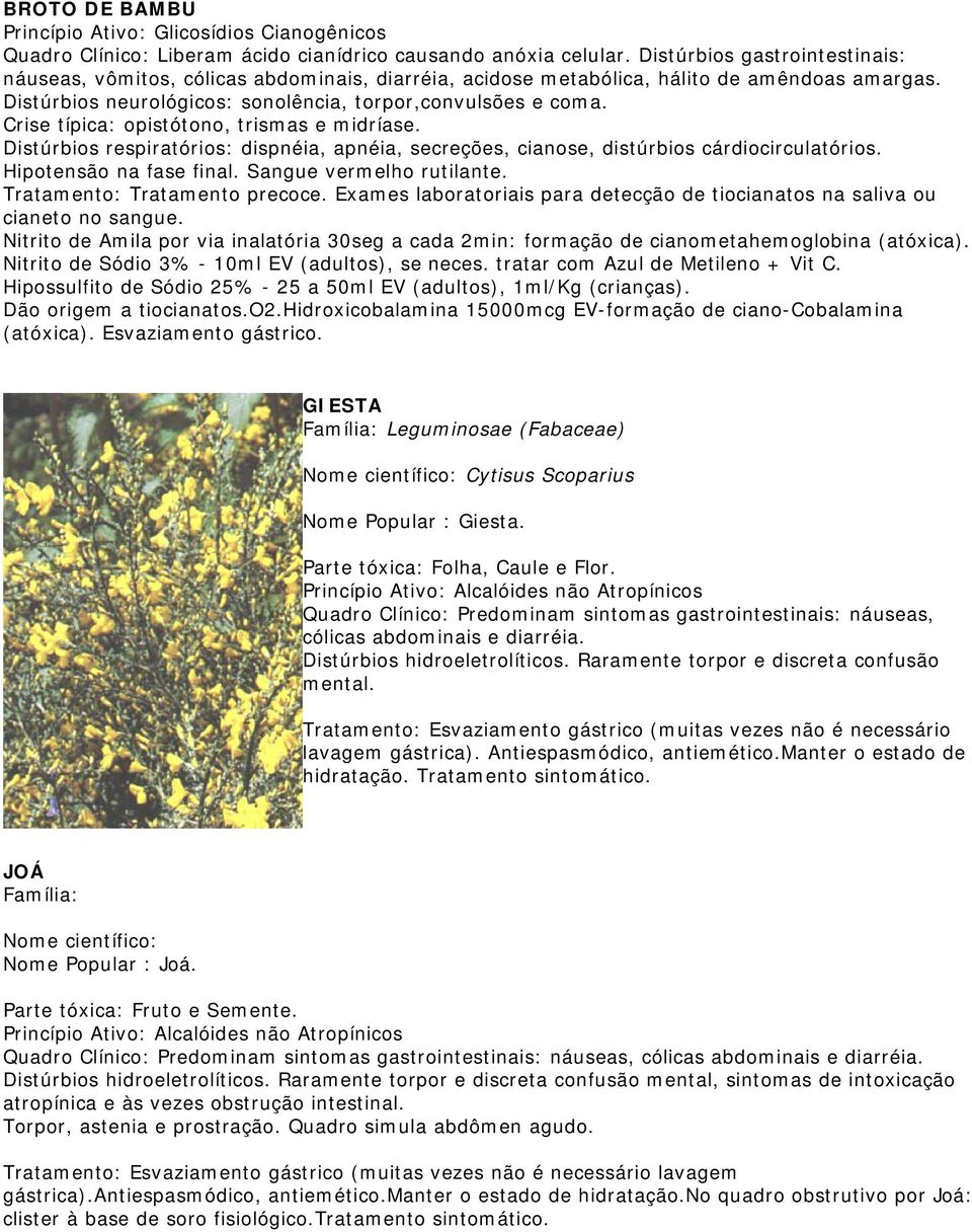 Crise típica: opistótono, trismas e midríase. Distúrbios respiratórios: dispnéia, apnéia, secreções, cianose, distúrbios cárdiocirculatórios. Hipotensão na fase final. Sangue vermelho rutilante.