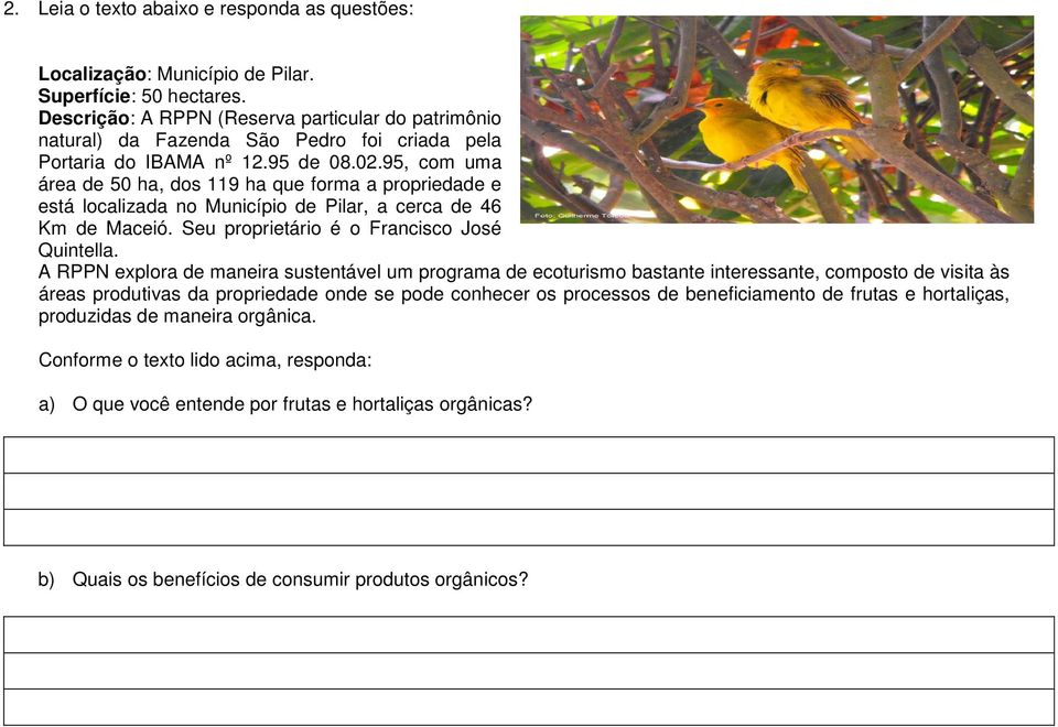 95, com uma área de 50 ha, dos 119 ha que forma a propriedade e está localizada no Município de Pilar, a cerca de 46 Km de Maceió. Seu proprietário é o Francisco José Quintella.