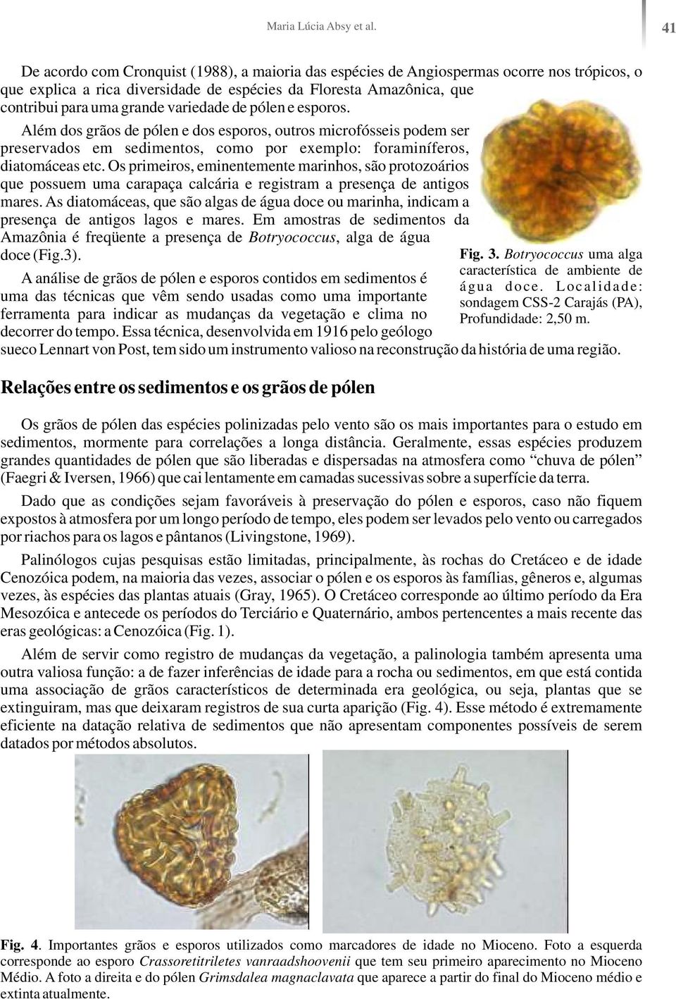 variedade de pólen e esporos. Além dos grãos de pólen e dos esporos, outros microfósseis podem ser preservados em sedimentos, como por exemplo: foraminíferos, diatomáceas etc.