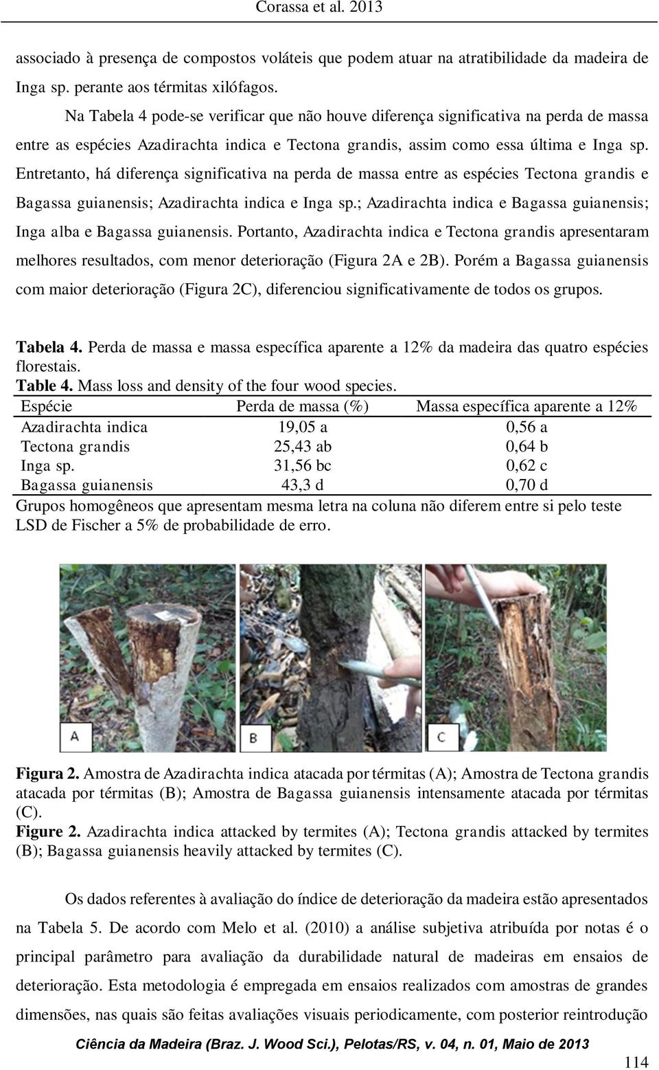 Entretanto, há diferença significativa na perda de massa entre as espécies Tectona grandis e Bagassa guianensis; Azadirachta indica e Inga sp.