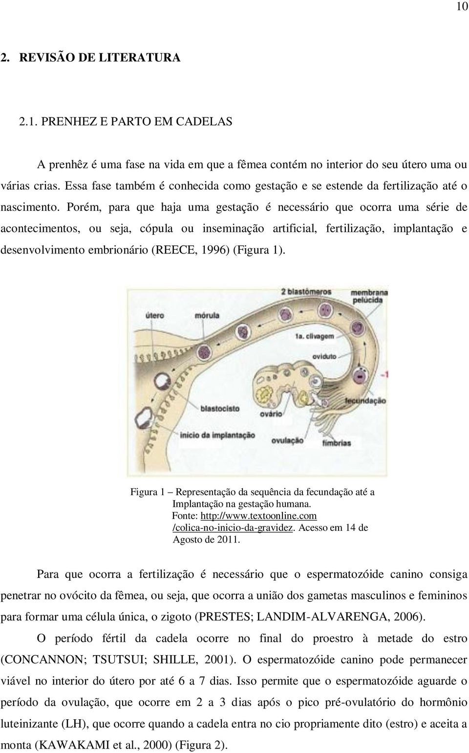 Porém, para que haja uma gestação é necessário que ocorra uma série de acontecimentos, ou seja, cópula ou inseminação artificial, fertilização, implantação e desenvolvimento embrionário (REECE, 1996)