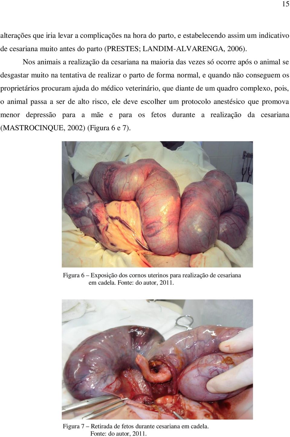 procuram ajuda do médico veterinário, que diante de um quadro complexo, pois, o animal passa a ser de alto risco, ele deve escolher um protocolo anestésico que promova menor depressão para a mãe e