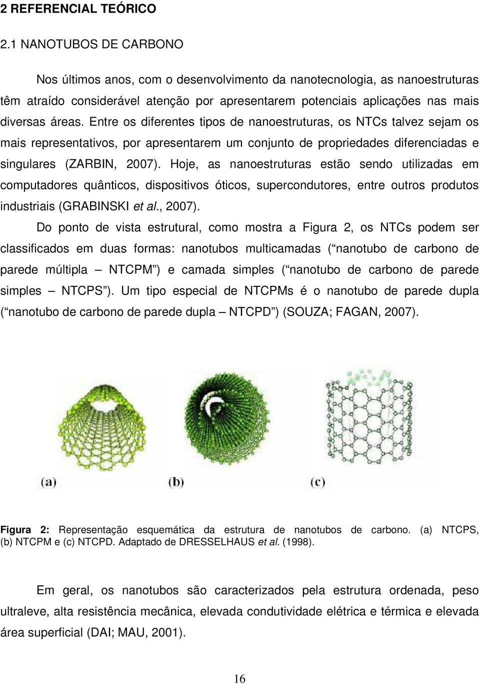 Entre os diferentes tipos de nanoestruturas, os NTCs talvez sejam os mais representativos, por apresentarem um conjunto de propriedades diferenciadas e singulares (ZARBIN, 2007).