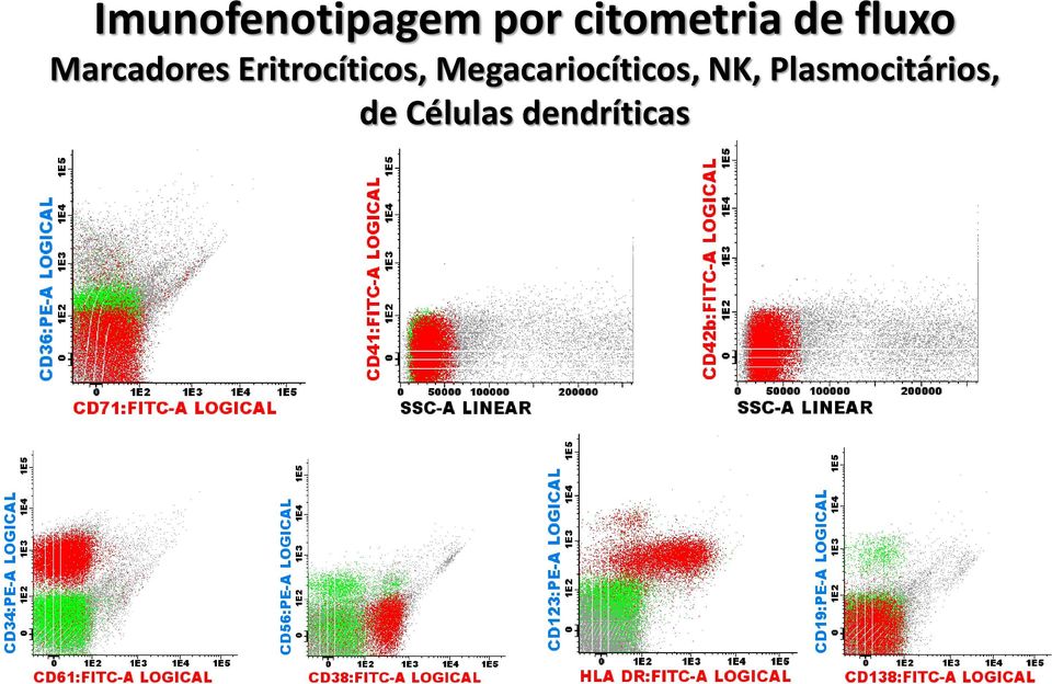 Eritrocíticos,