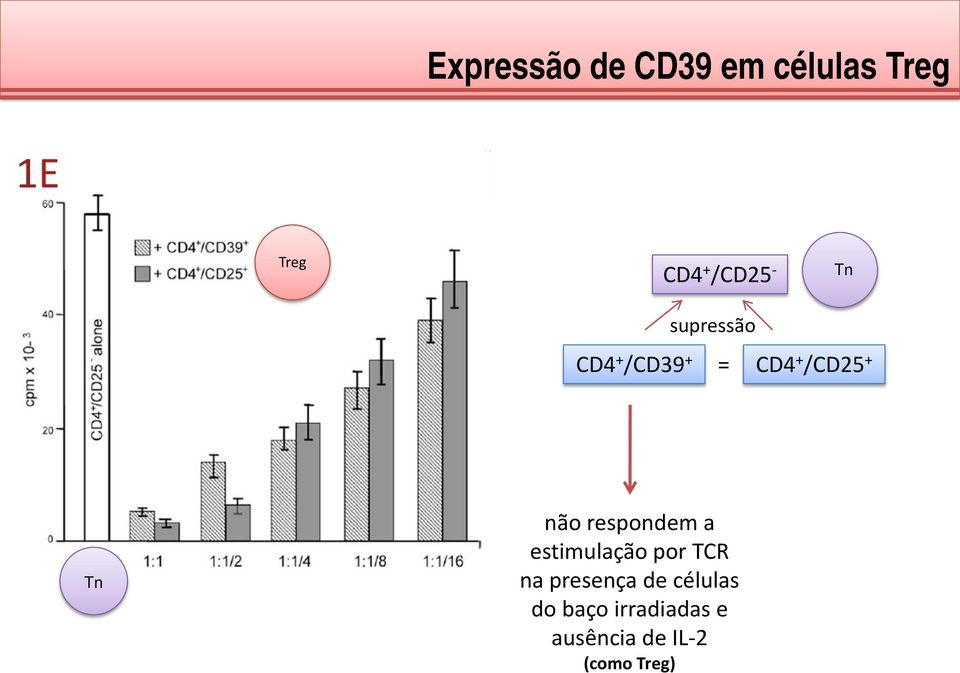 respondem a estimulação por TCR na presença de