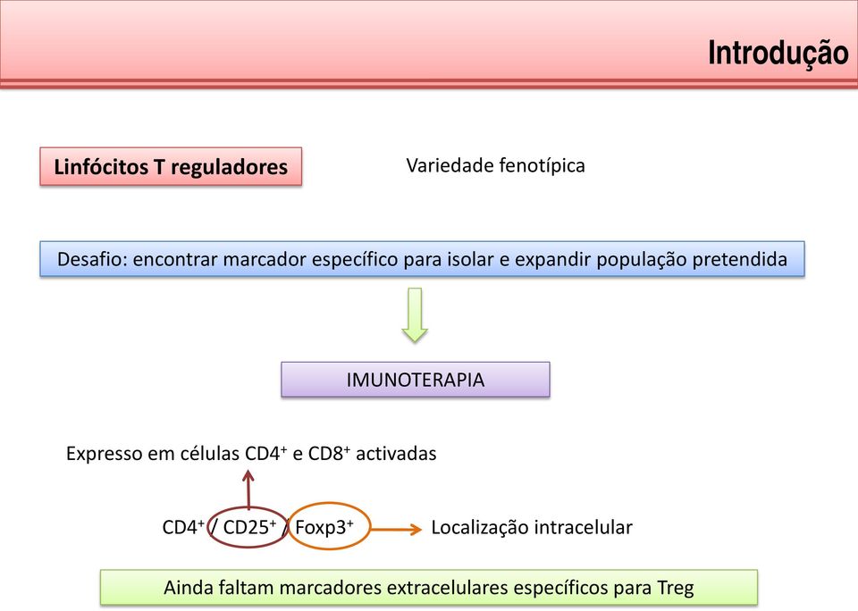 Expresso em células CD4 + e CD8 + activadas CD4 + / CD25 + / Foxp3 +