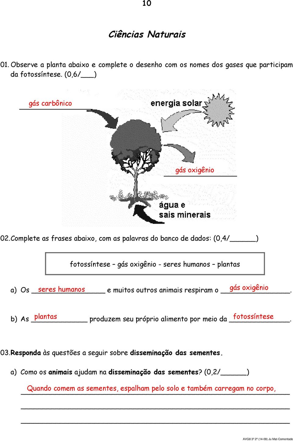 Complete as frases abaixo, com as palavras do banco de dados: (0,4/ ) fotossíntese gás oxigênio - seres humanos plantas a) Os seres humanos e muitos outros