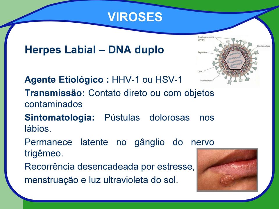 dolorosas nos lábios. Permanece latente no gânglio do nervo trigêmeo.