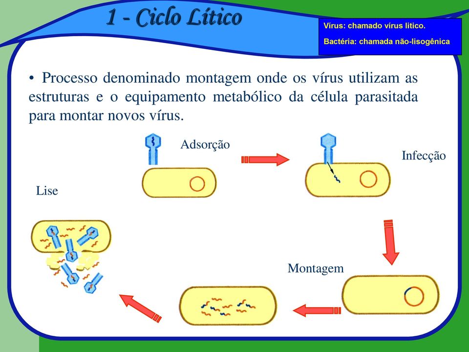 Processo denominado montagem onde os vírus utilizam as