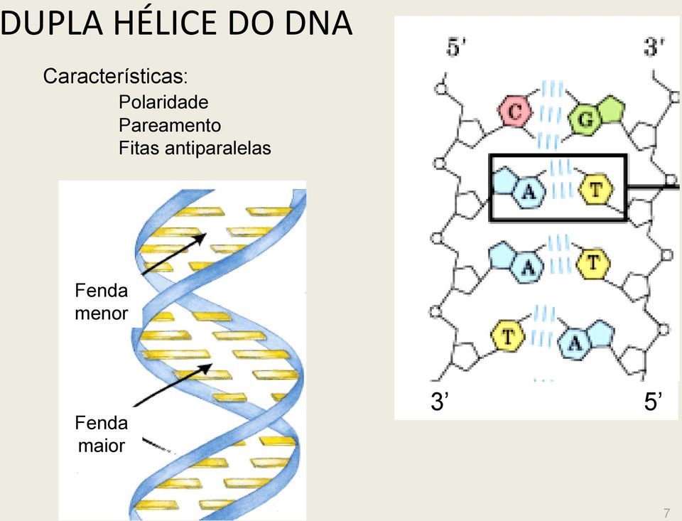 Polaridade Pareamento