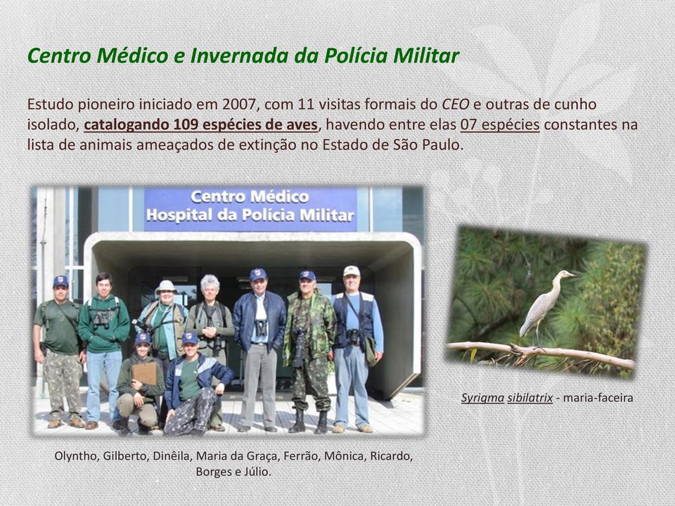 espécies constantes na lista de animais ameaçados de extinção no Estado de São Paulo.