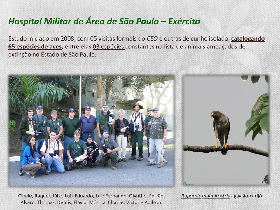 animais ameaçados de extinção no Estado de São Paulo.