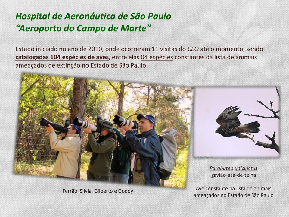 constantes da lista de animais ameaçados de extinção no Estado de São Paulo.