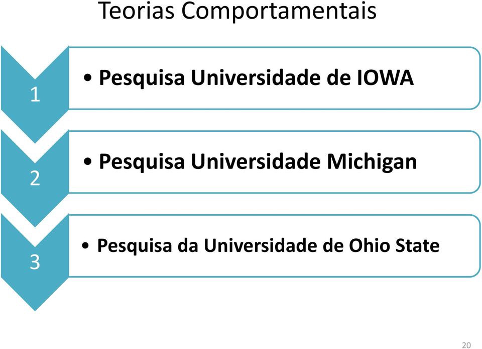 Pesquisa Universidade Michigan 3