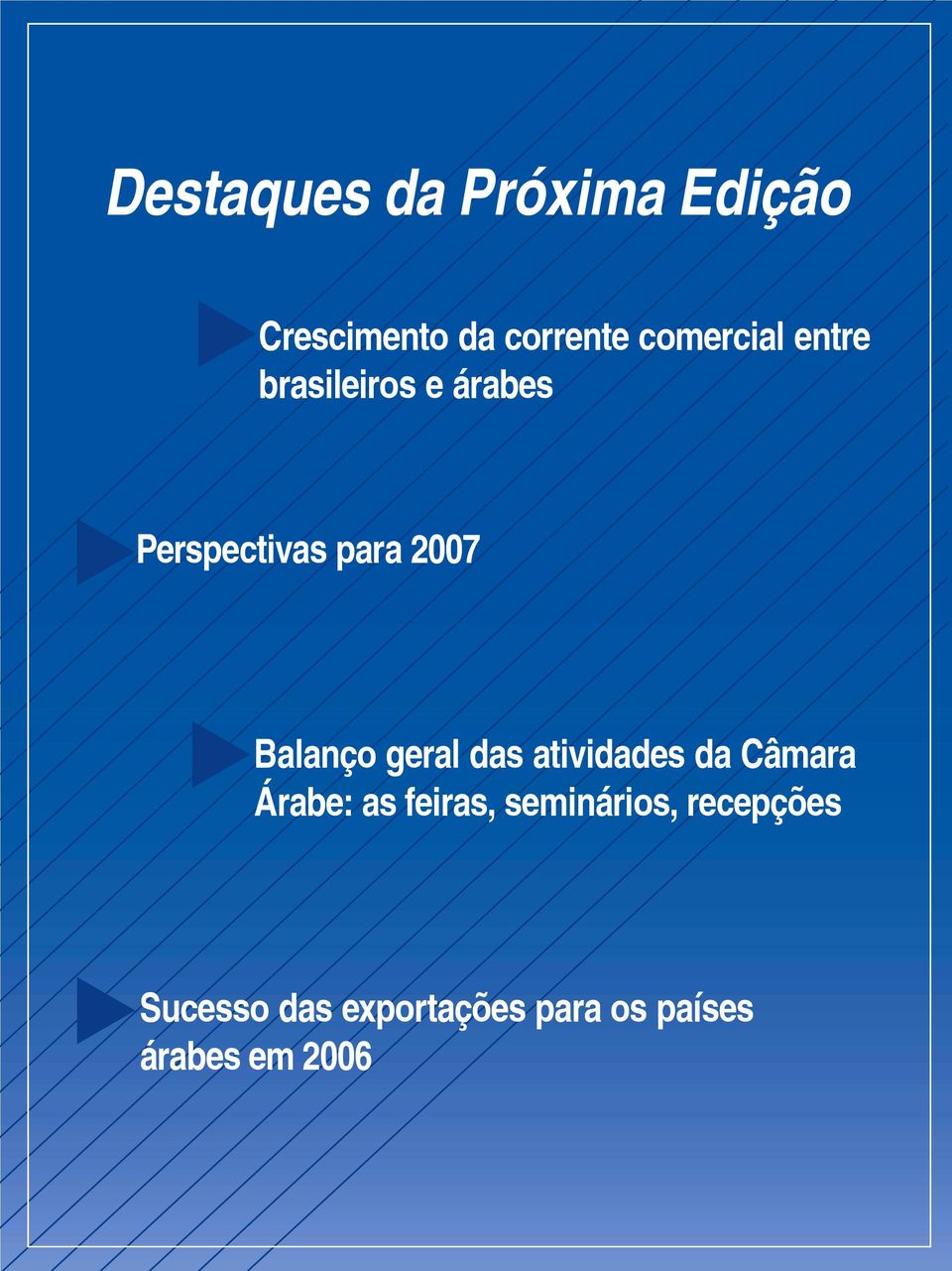 Balanço geral das atividades da Câmara Árabe: as feiras,