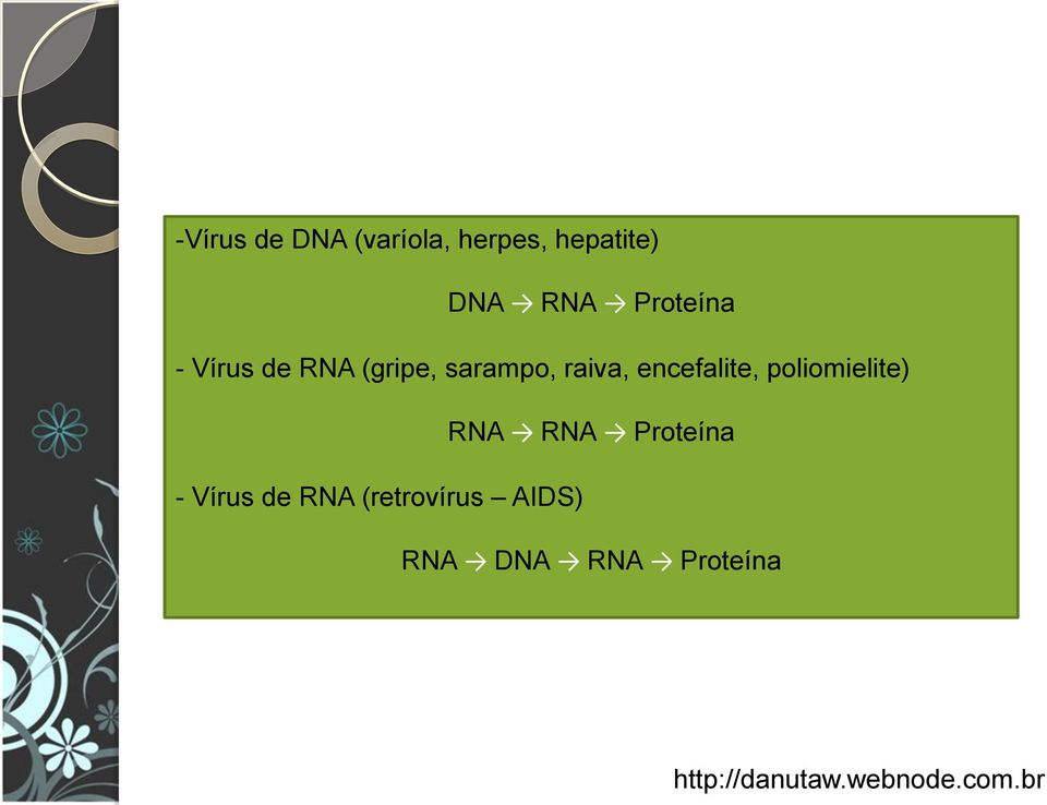 raiva, encefalite, poliomielite) RNA RNA