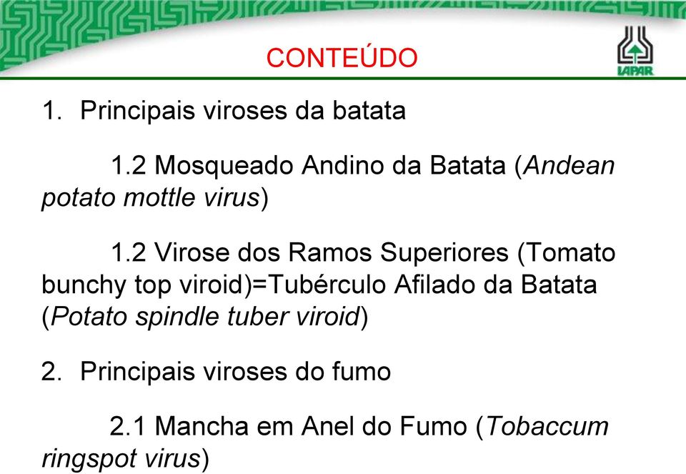 2 Virose dos Ramos Superiores (Tomato bunchy top viroid)=tubérculo Afilado