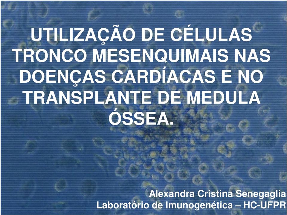 TRANSPLANTE DE MEDULA ÓSSEA.