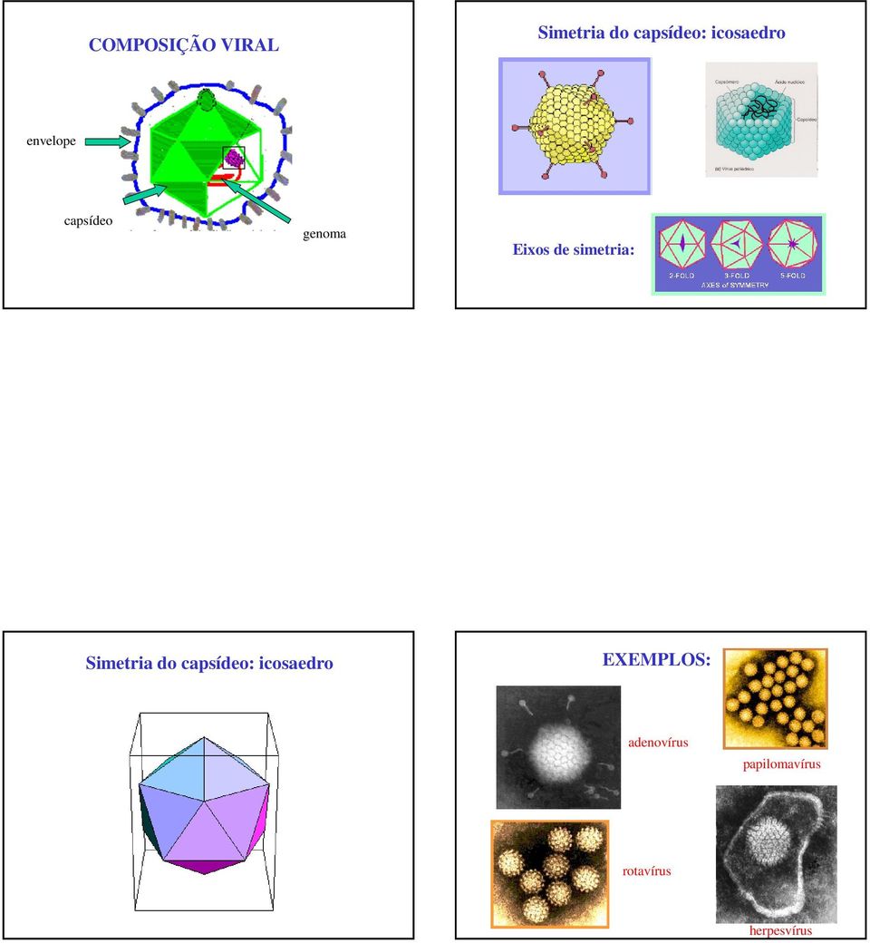 simetria: Simetria do capsídeo: icosaedro