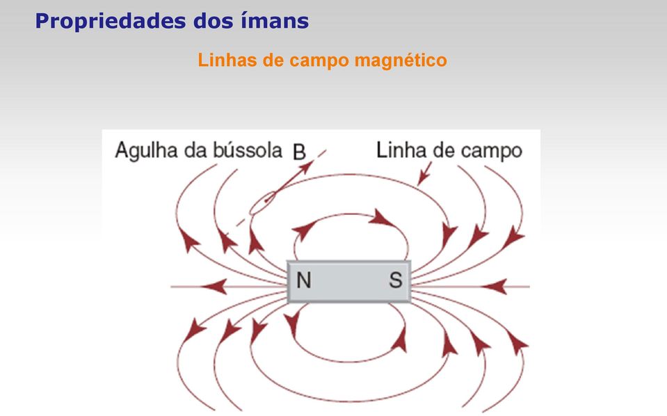 Se colocarmos uma agulha de bússola num ponto qualquer do