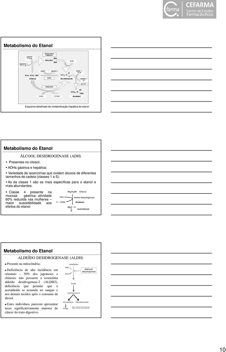 reduzida nas mulheres maior suscetibilidade aos efeitos do etanol Metabolismo do Etanol ALDEÍDO DESIDROGENASE (ALDH) Presente na mitocôndria; Deficiência de alta incidência em orientais 50% dos