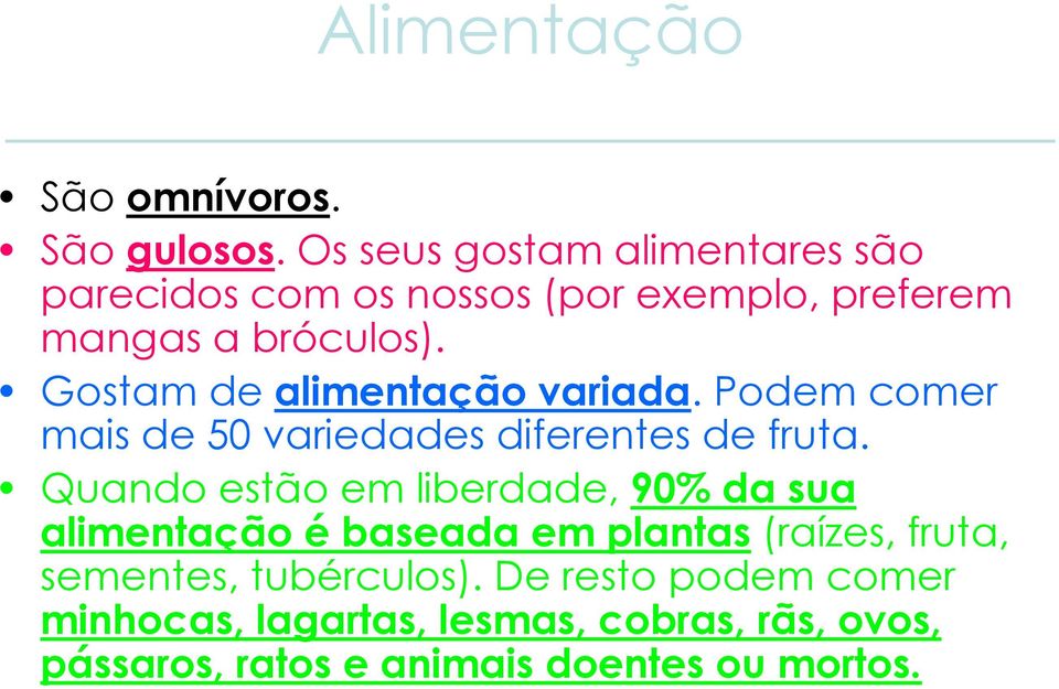 Gostam de alimentação variada. Podem comer mais de 50 variedades diferentes de fruta.