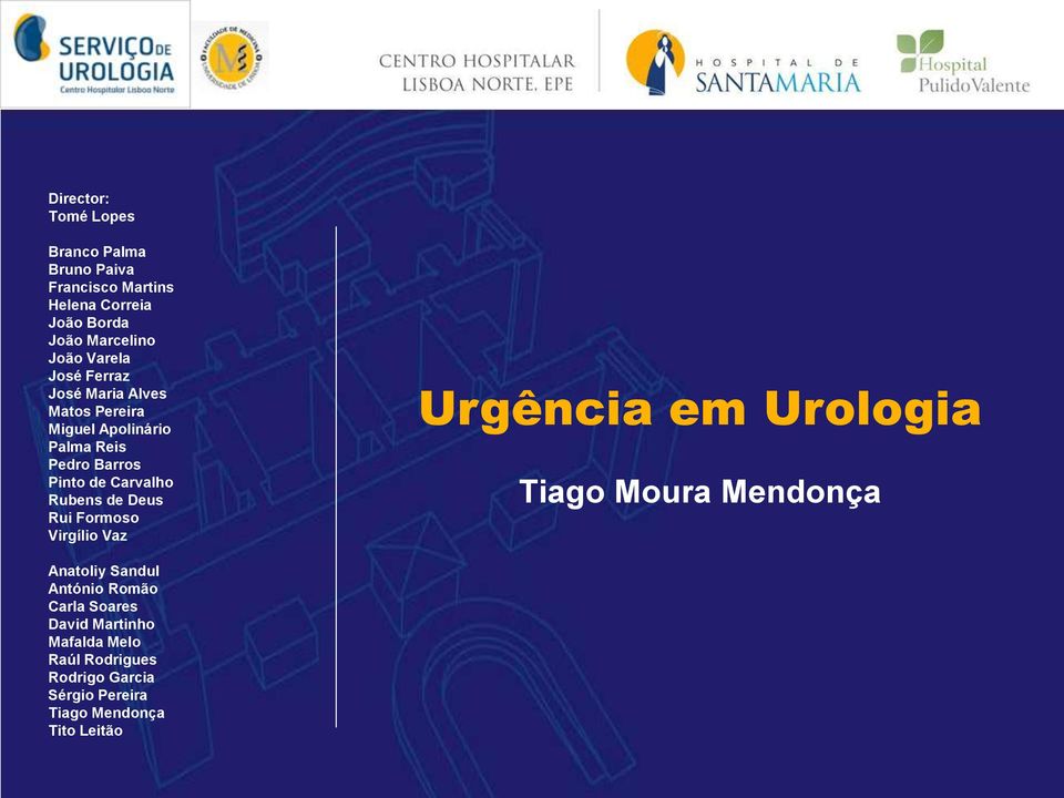 Rubens de Deus Rui Formoso Virgílio Vaz Urgência em Urologia Tiago Moura Mendonça Anatoliy Sandul António