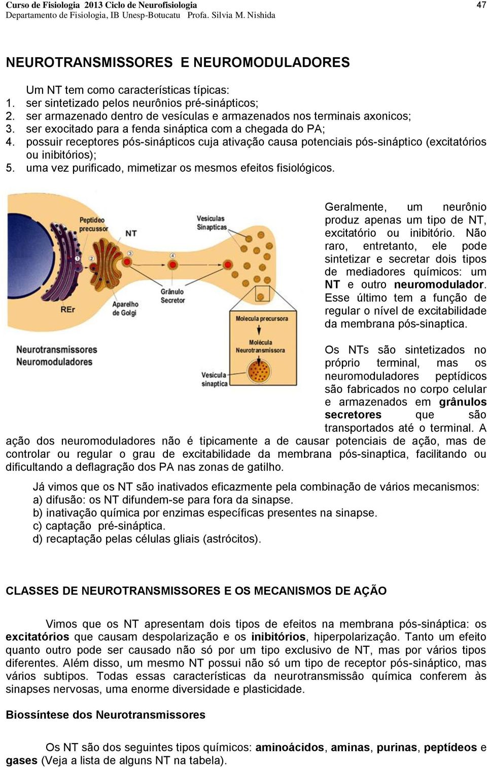 possuir receptores pós-sinápticos cuja ativação causa potenciais pós-sináptico (excitatórios ou inibitórios); 5. uma vez purificado, mimetizar os mesmos efeitos fisiológicos.