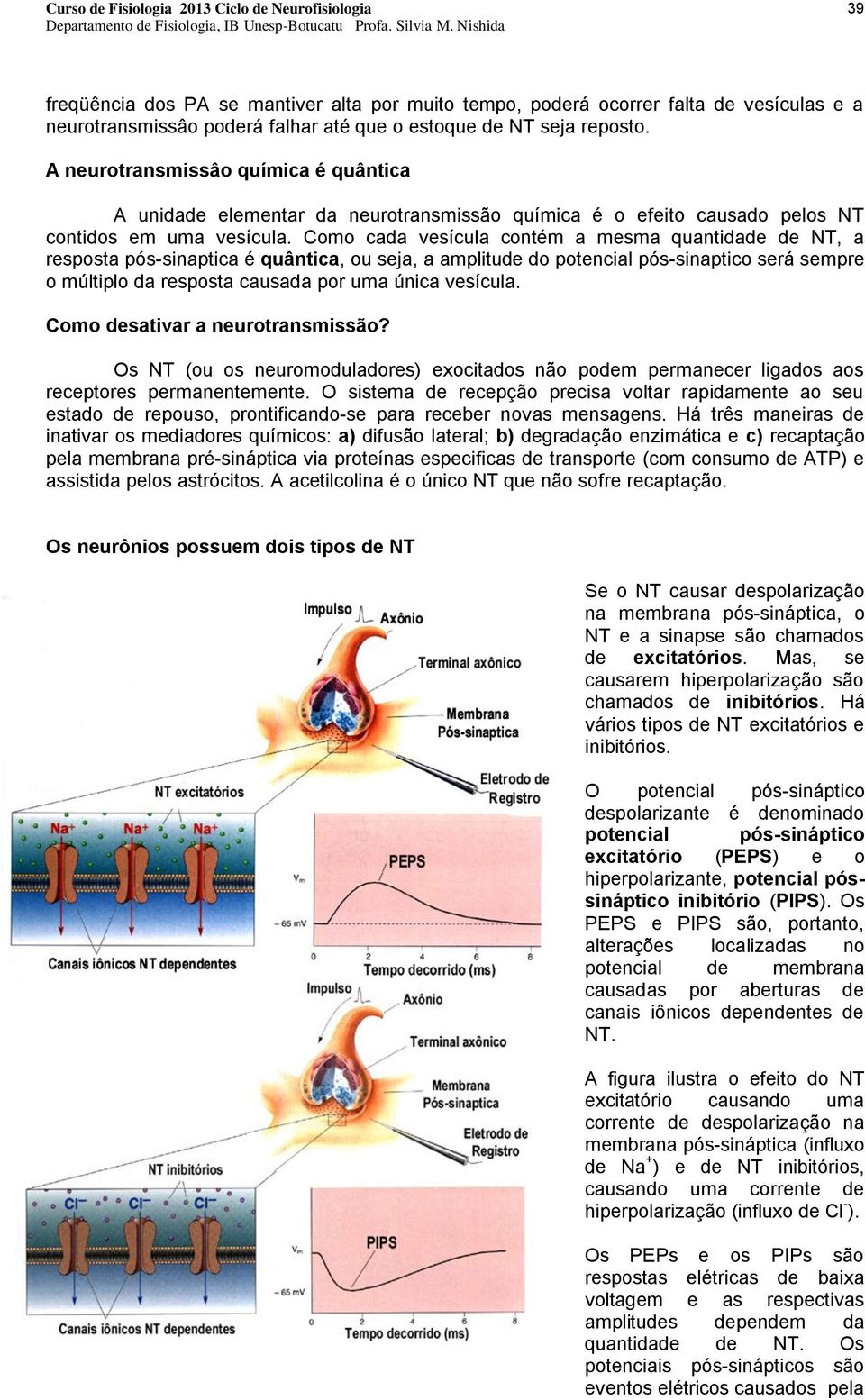 Como cada vesícula contém a mesma quantidade de NT, a resposta pós-sinaptica é quântica, ou seja, a amplitude do potencial pós-sinaptico será sempre o múltiplo da resposta causada por uma única