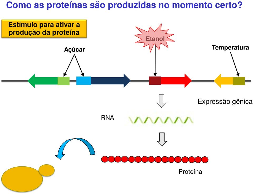 Estímulo para ativar a produção da