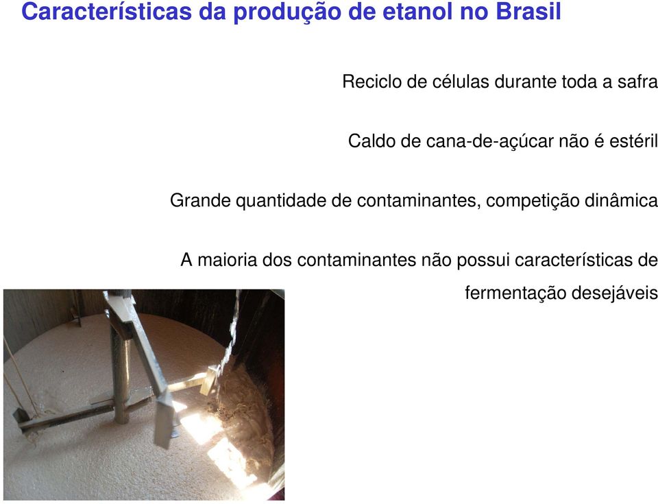 estéril Grande quantidade de contaminantes, competição dinâmica A