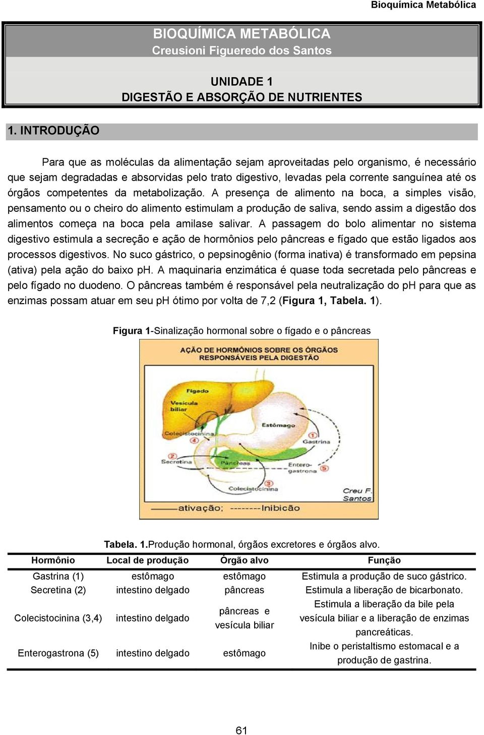 competentes da metabolização.