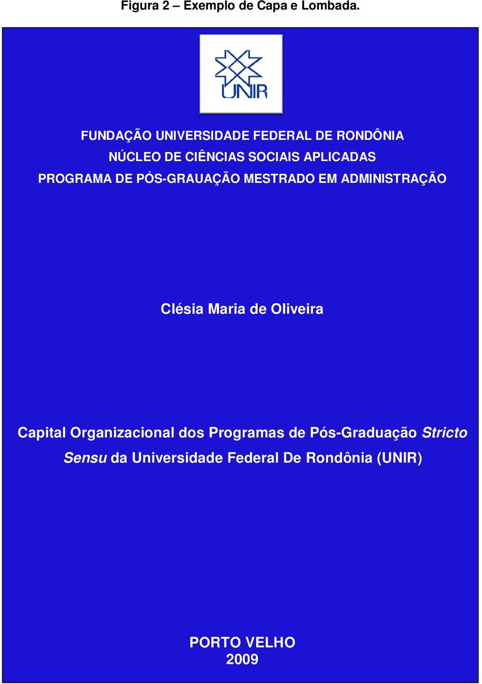 PROGRAMA DE PÓS-GRAUAÇÃO MESTRADO EM ADMINISTRAÇÃO Clésia Maria de Oliveira