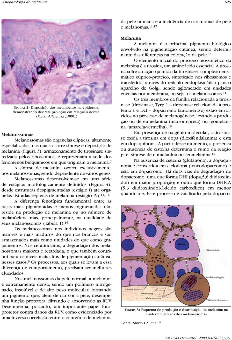 (Melan-A/Giemsa,1000x) Melanossomas Melanossomas são organelas elípticas, altamente especializadas, nas quais ocorre síntese e deposição de melanina (Figura 3), armazenamento de tirosinase