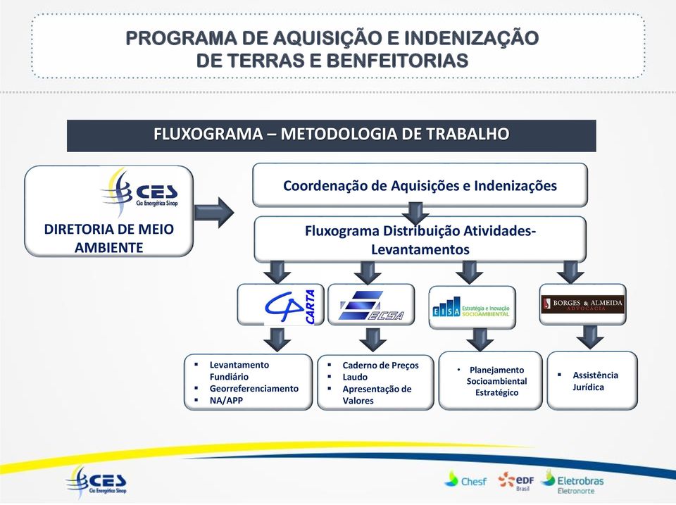 Distribuição Atividades- Levantamentos Levantamento Fundiário Georreferenciamento NA/APP