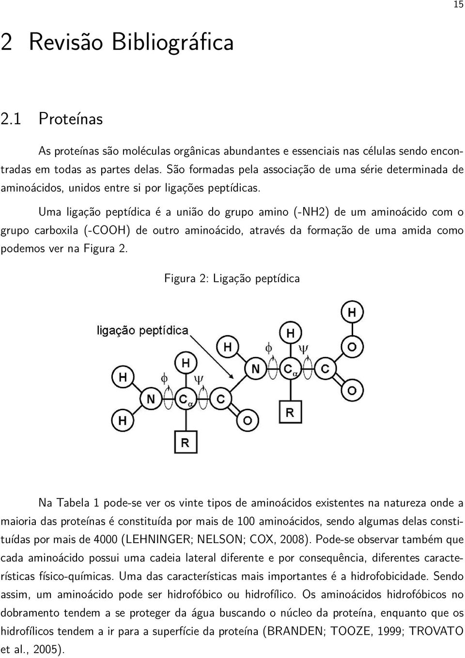 Uma ligação peptídica é a união do grupo amino (-NH2) de um aminoácido com o grupo carboxila (-COOH) de outro aminoácido, através da formação de uma amida como podemos ver na Figura 2.