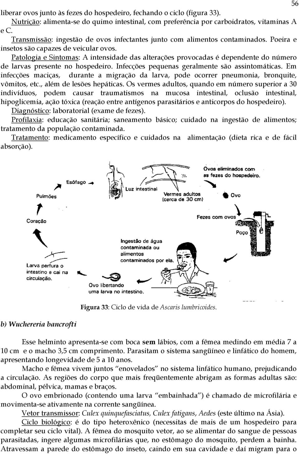 Patologia e Sintomas: A intensidade das alterações provocadas é dependente do número de larvas presente no hospedeiro. Infecções pequenas geralmente são assintomáticas.