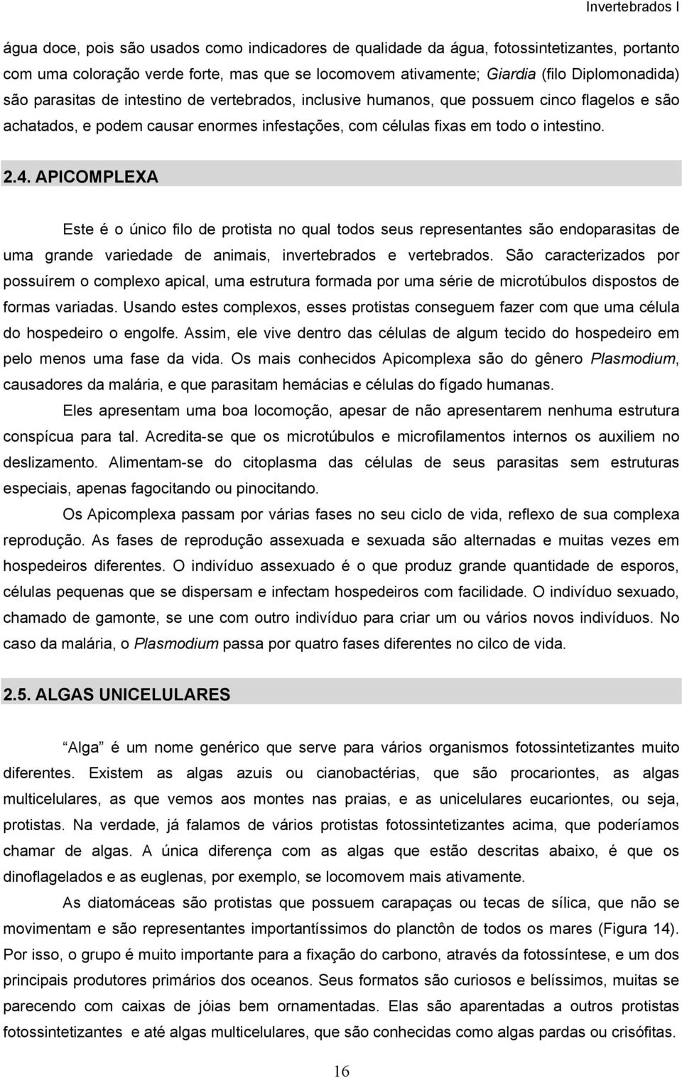 APICOMPLEXA Este é o único filo de protista no qual todos seus representantes são endoparasitas de uma grande variedade de animais, invertebrados e vertebrados.