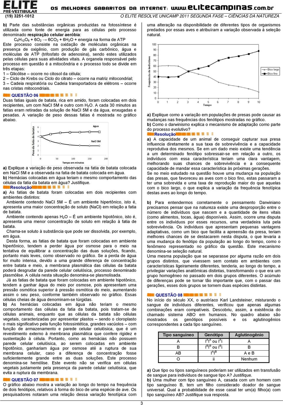 carbônico, água e moléculas de ATP (trifosfato de adenosina), sendo estes utilizados pelas células para suas atividades vitais.