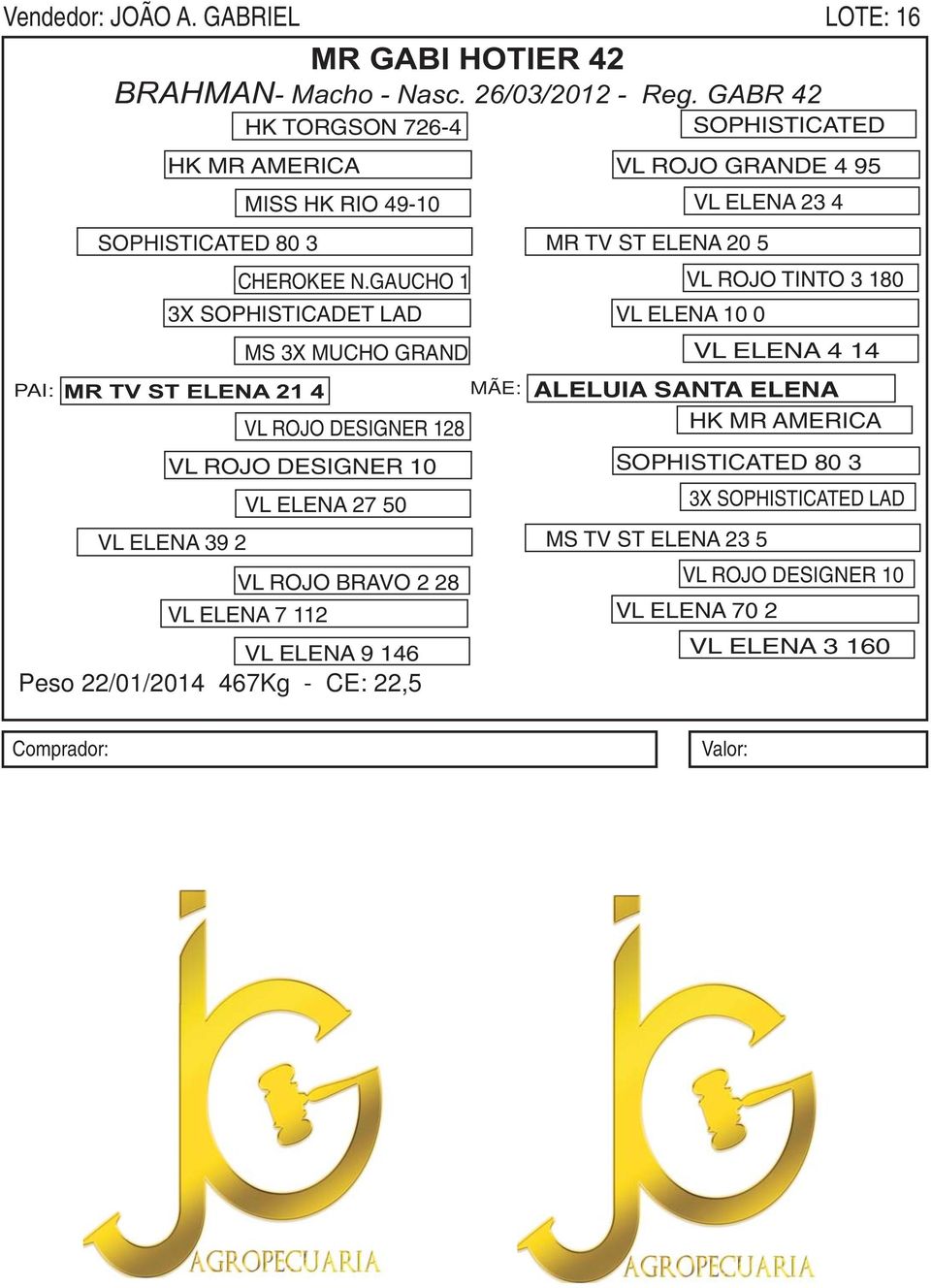 GAUCHO 1 VL ROJO TINTO 3 180 3X SOPHISTICADET LAD VL ELENA 10 0 MS 3X MUCHO GRAND VL ELENA 4 14 MR TV ST ELENA 21 4 ALELUIA SANTA ELENA VL ROJO DESIGNER 128 HK MR